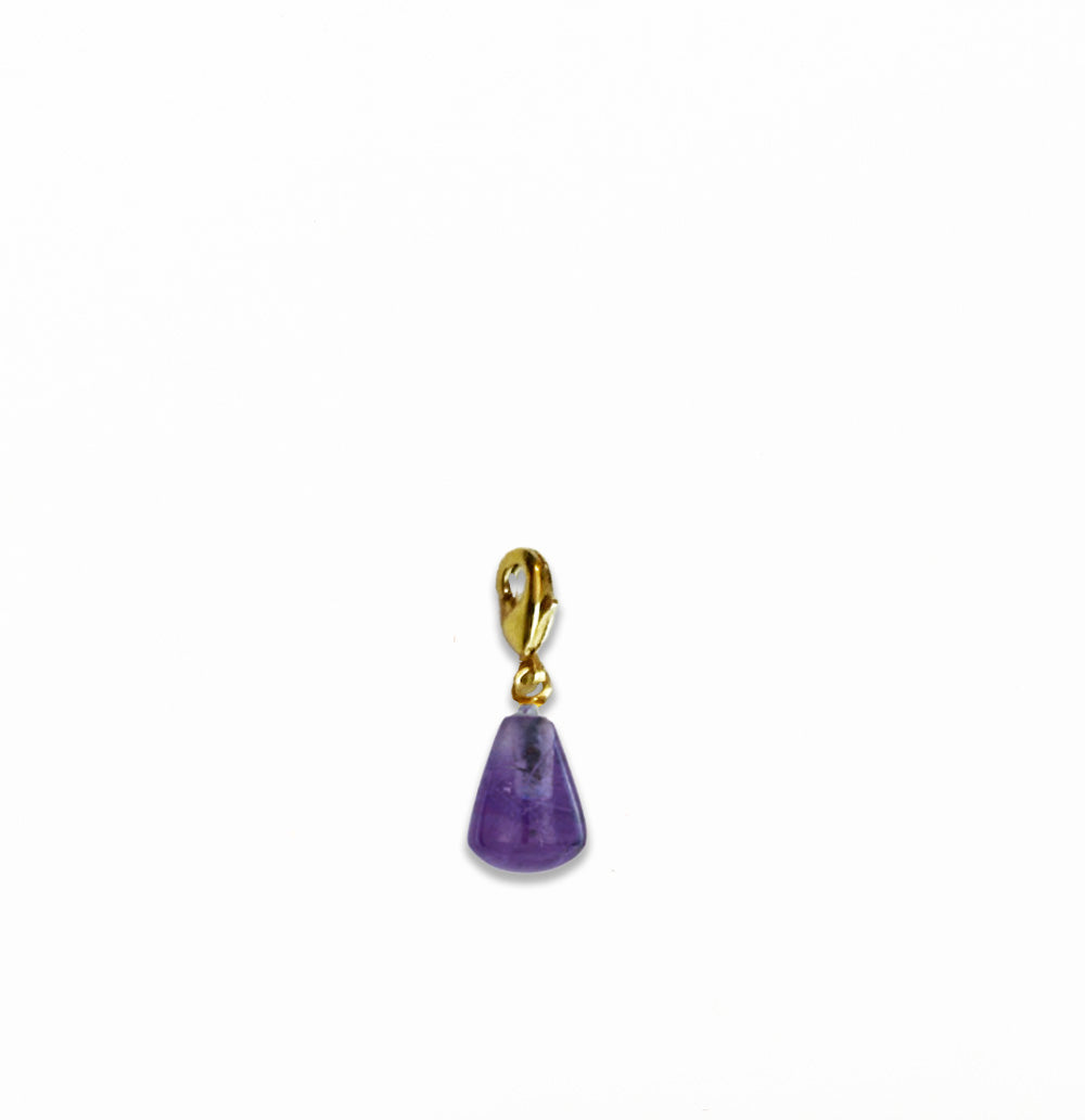 ACL Collectible Charm